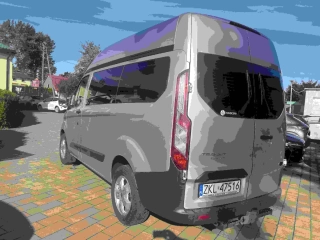 Ford Transit Custom-Do przewozu osób niepełnosprawnych